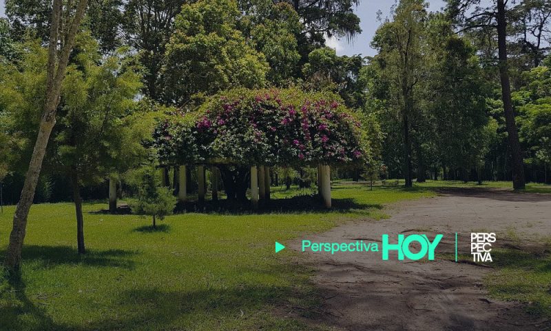 Parques de la ciudad abrirán sus puertas
