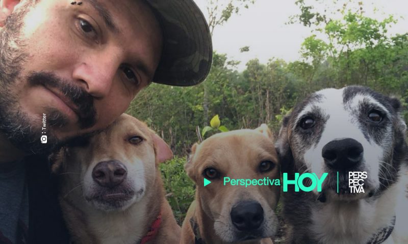 Hombre salvó a 300 perros callejeros del huracán Delta en México