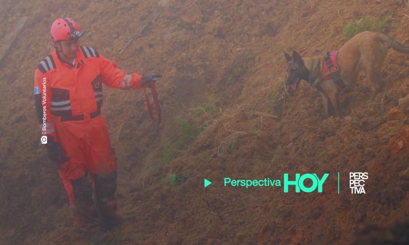 «Maya», de patrulla canina ayuda a localizar víctimas de Eta