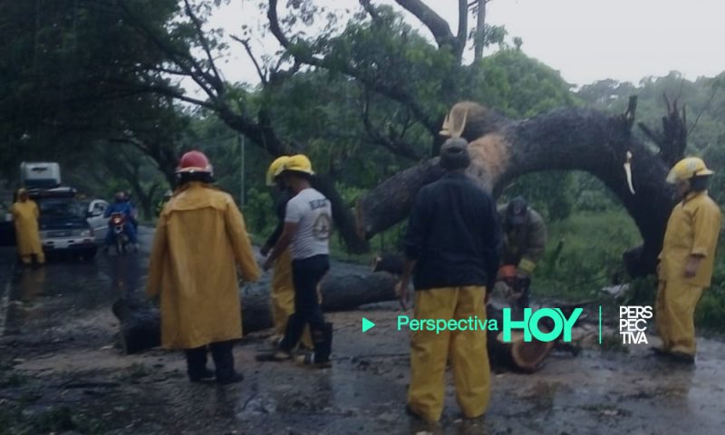 Confirman 12 muertos en el deslave del macizo de Peñas Blancas, Nicaragua