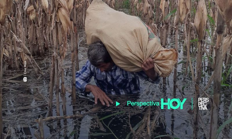 Desastre natural afectará a más de 25 mil agricultores
