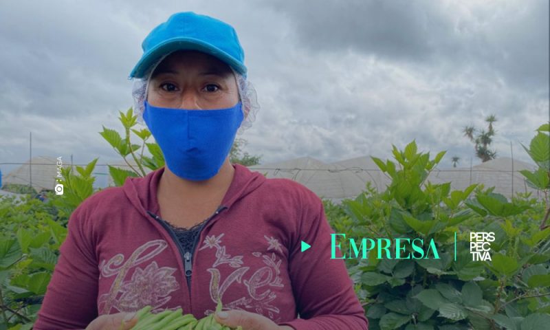 FUNDARVEJA brinda apoyo a familias agricultoras
