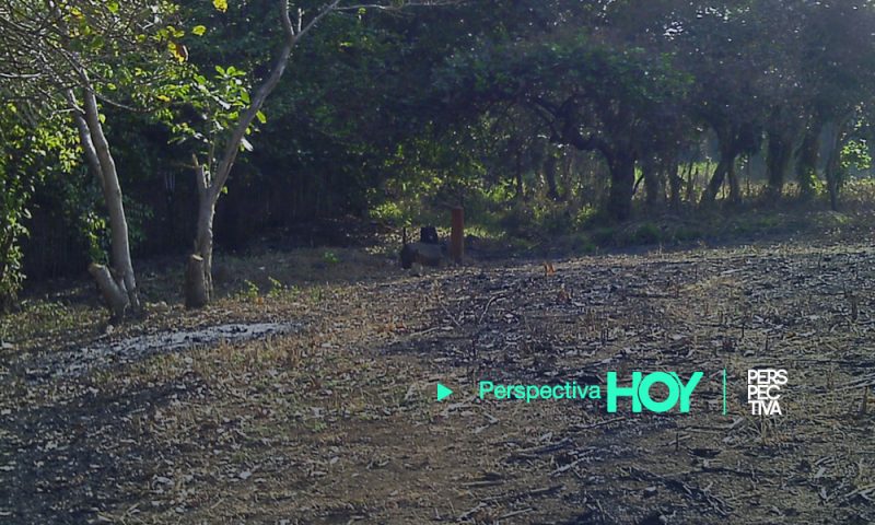 Invaden reserva natural privada en Tecún Umán, San Marcos