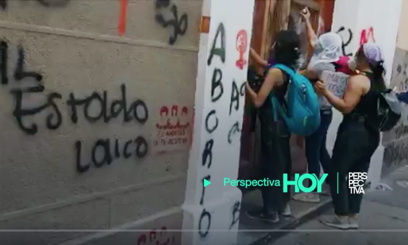 #Jacarandas rebeldes: victimización y vandalismo