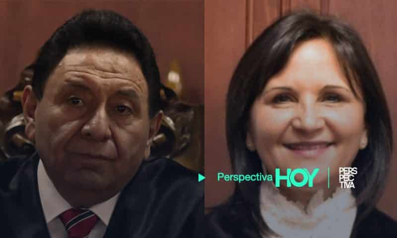 Congreso conforma pesquisidora