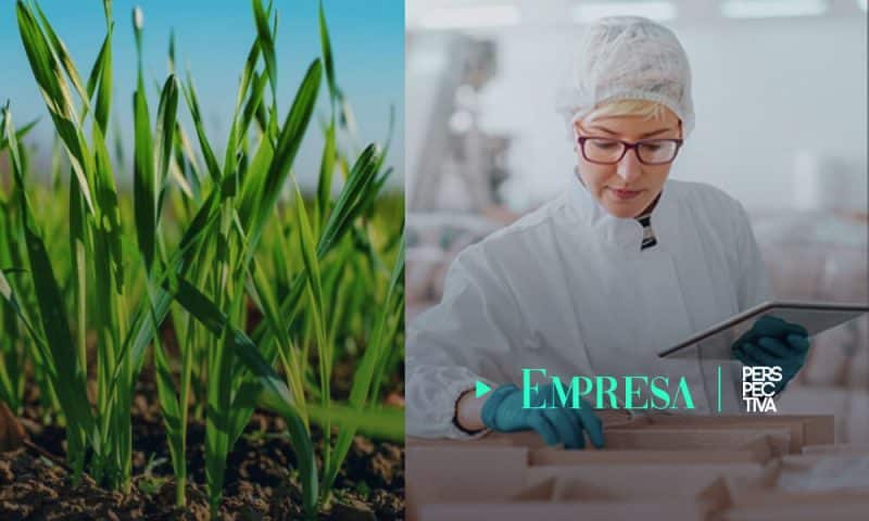 Empaques sustentables: Kellogg renueva compromiso para cuidar del medio ambiente