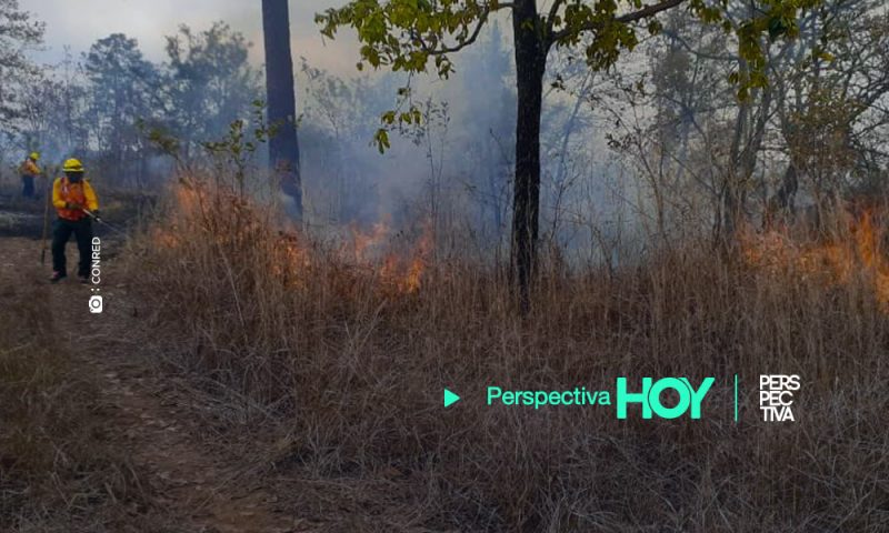 Fallecen dos bomberos al sofocar un incendio forestal