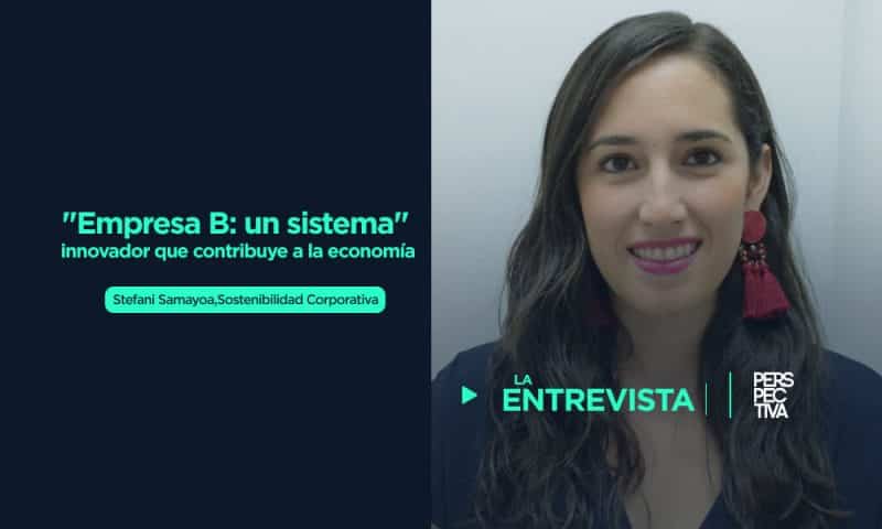 Empresa B: un sistema innovador que contribuye a la economía