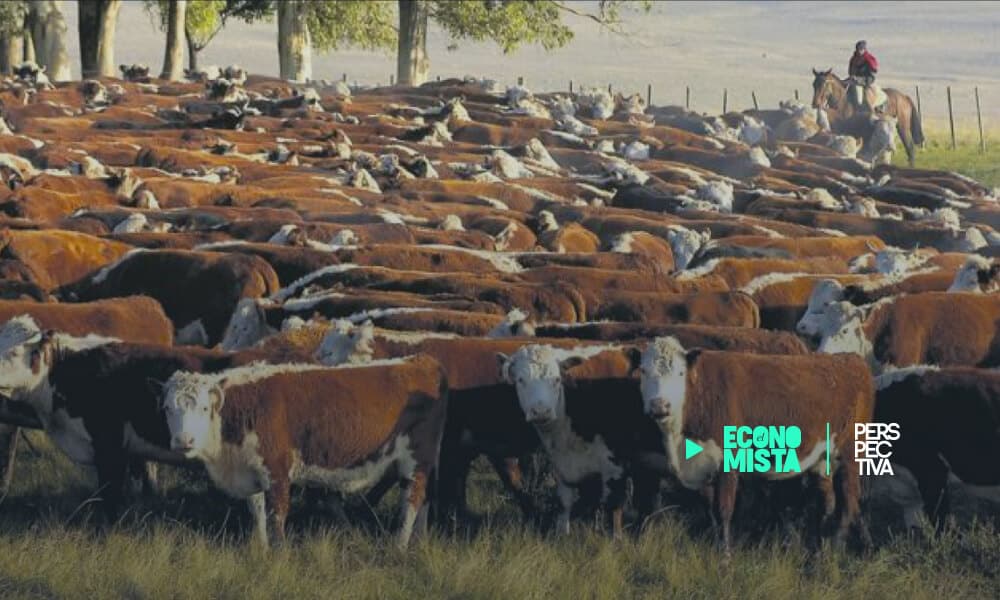 Argentina sanciona a 12 empresas cárnicas por especular en el mercado
