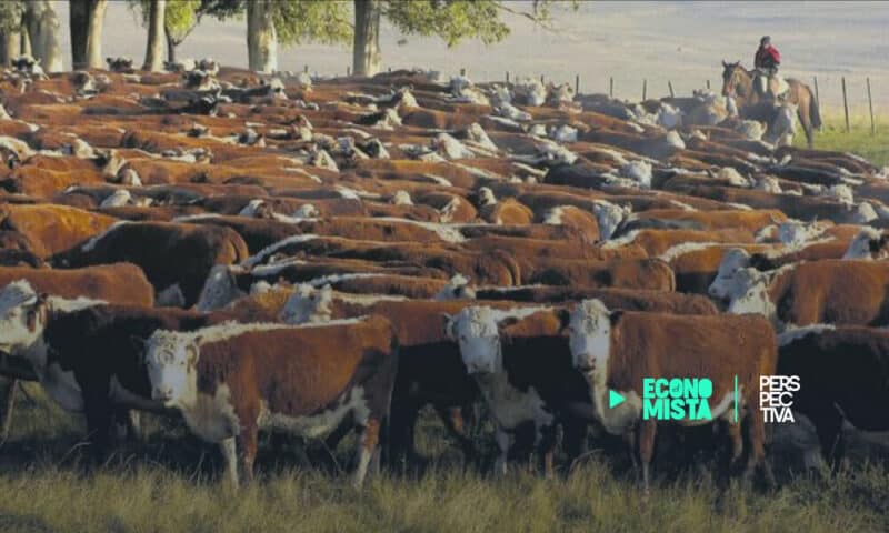 Argentina sanciona a 12 empresas cárnicas por especular en el mercado