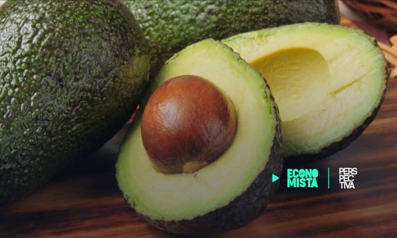 exportación de Aguacate