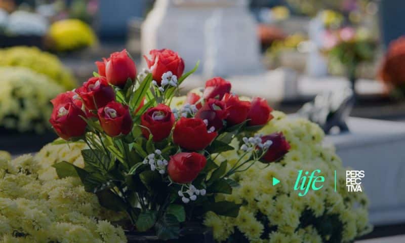 Actividades variadas para celebrar el mes de la madre