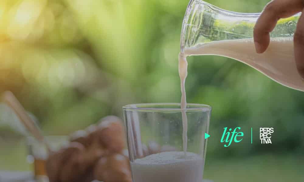 Fortalece tu sistema inmunológico con la leche y sus derivados