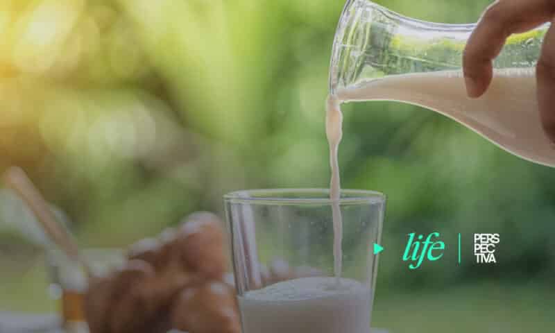 Fortalece tu sistema inmunológico con la leche y sus derivados