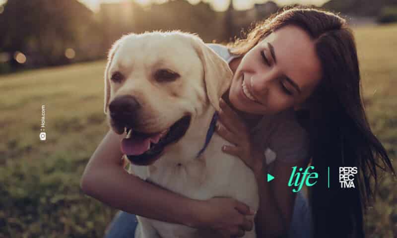 Los mejores consejos para saber cómo acariciar a un perro desconocido