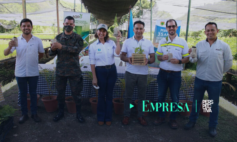 Entregan donación de 100 mil árboles para luchar contra el cambio climático