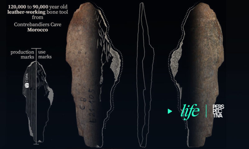 Pruebas de producción de ropa hace entre 120.000 y 90.000 años