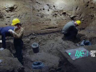 Los primeros Homo sapiens en Europa se enfrentaron a climas subárticos