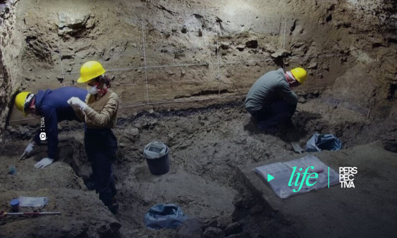 Los primeros Homo sapiens en Europa se enfrentaron a climas subárticos