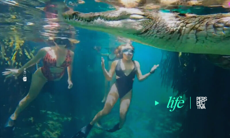 El fotógrafo submarino Ken Kiefer y su mujer Kimber se sumergen en un cenote mexicano para nadar entre cocodrilos