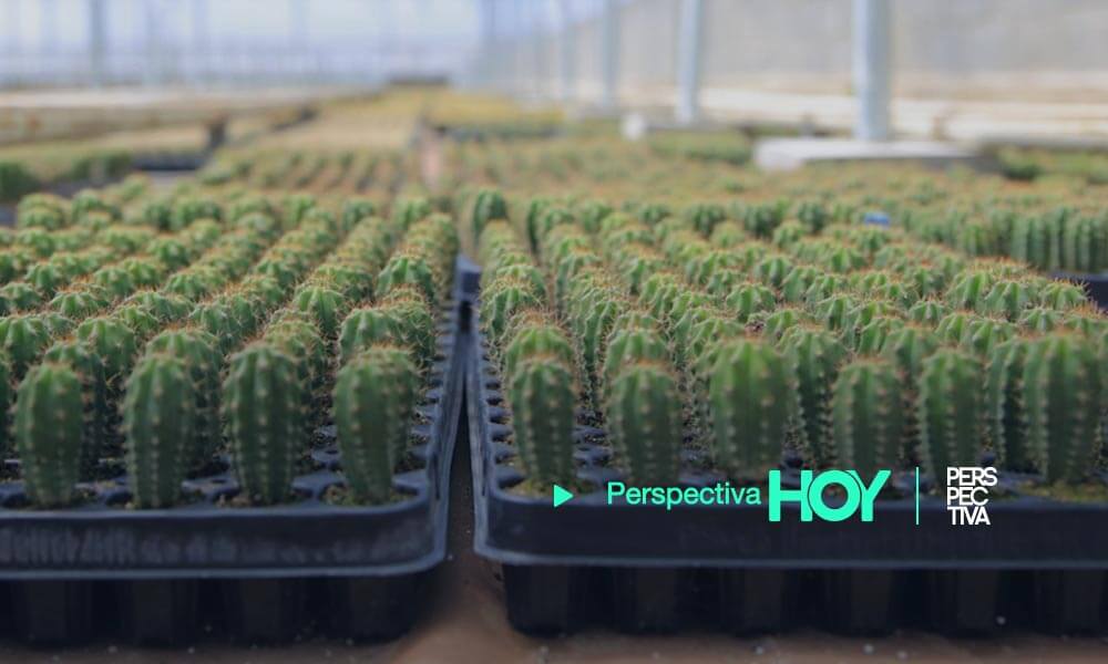 Inaugura la estación de Cuarenta Posentrada más grande de Centroamérica