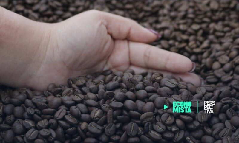 113% han crecido las exportaciones de café guatemalteco en los últimos 20 años