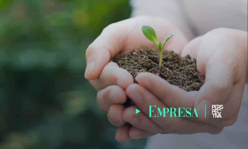 Webinar- Estrategias de sostenibilidad