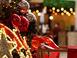 fotos de navidad Pradera 3