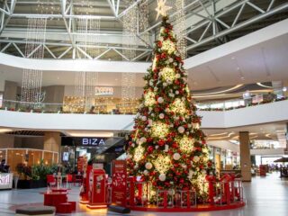 fotos-de-navidad-Pradera-4-