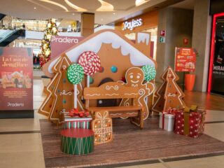 fotos-de-navidad-Pradera-6