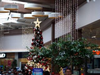 fotos-de-navidad-Pradera-7-1