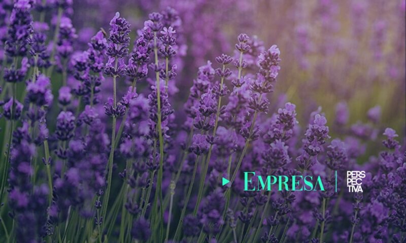 Presentan estrategia de diversificación de oferta agrícola exportable