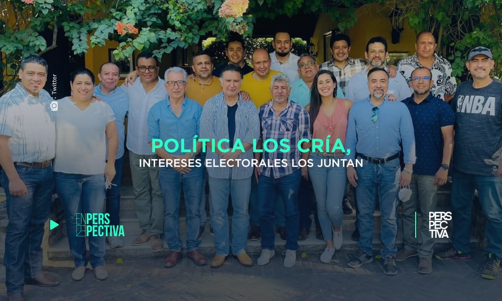 Política-los-cría-intereses-electorales-los-juntan-min.jpeg
