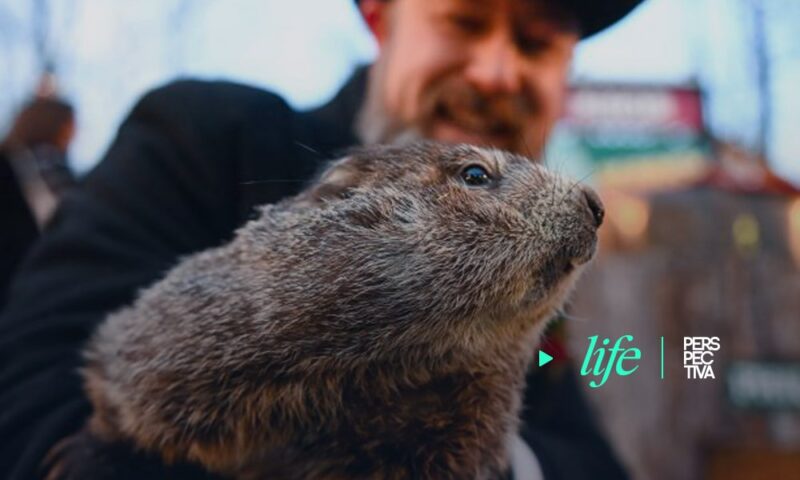 Muere la marmota que predecía la llegada de la primavera, horas antes de su gran día