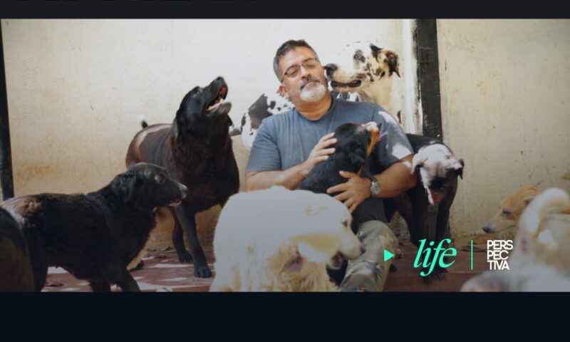 El hombre que adoptó más de 900 perros callejeros