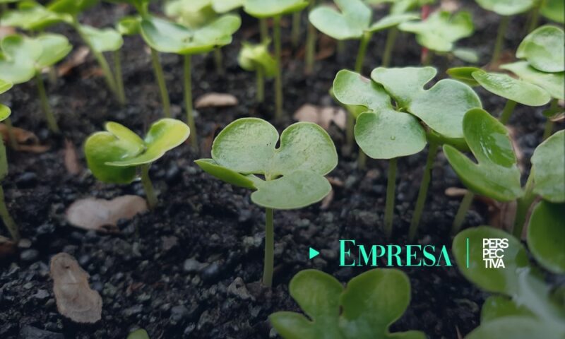 Conmemoración del “Día Mundial de la Madre Tierra”