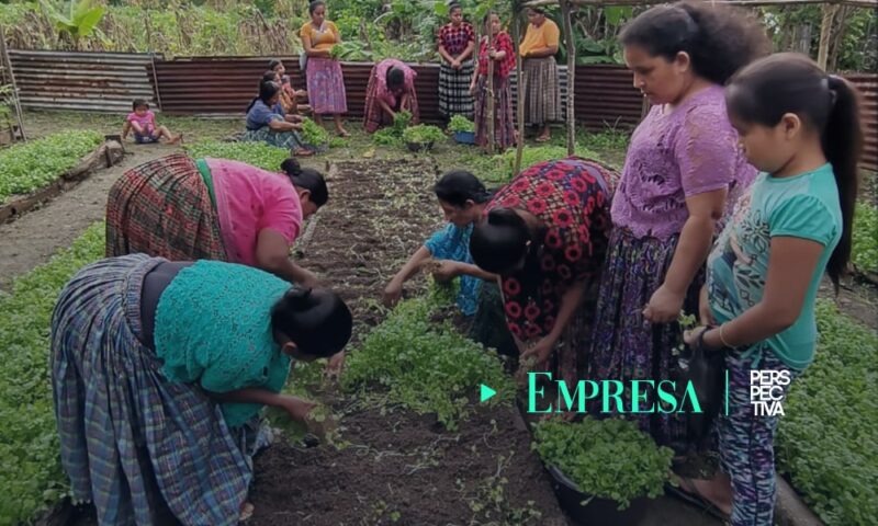 Naturaceite, Cargill y HELPS Internacional brindan asistencia técnica y crediticia a pequeños productores del Polochic