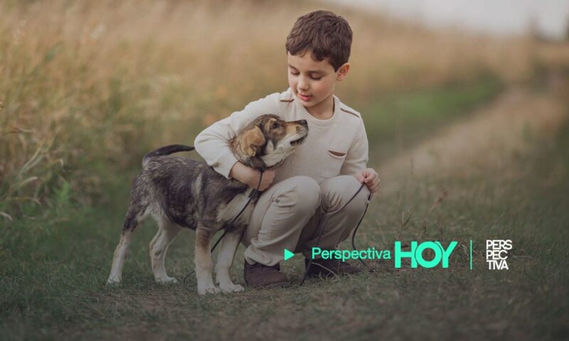 Por ahora, la posibilidad que los perros tengan alguna relación con la hepatitis aguda infantil no es más que una hipótesis poco sólida.