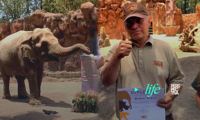 Zoológico reconoce a Trompita y a su cuidador por salvar a un antílope