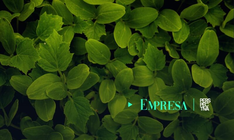 CMI gana premio por su exitosa colocación en el mercado internacional de bonos verdes