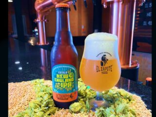 maridaje-y-cerveza-el-zapote-min