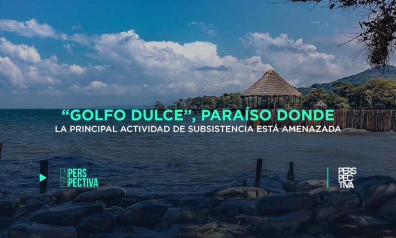 “Golfo Dulce”, paraíso donde la principal actividad de subsistencia está amenazada
