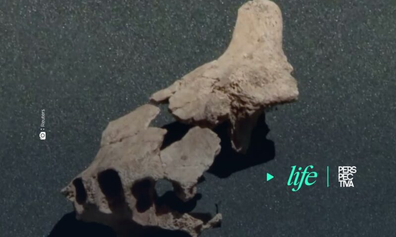 Fósil encontrado en España puede explicar detalles sobre el origen del hombre europeo