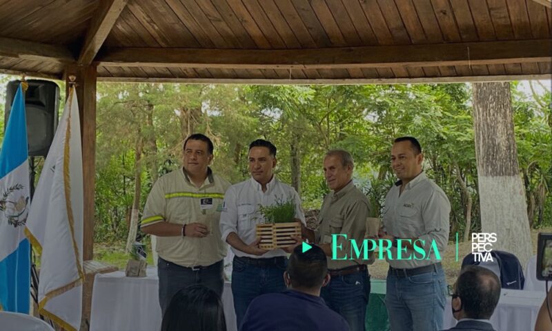 Cementos Progreso realiza donación de 150,000 árboles a favor de la reforestación