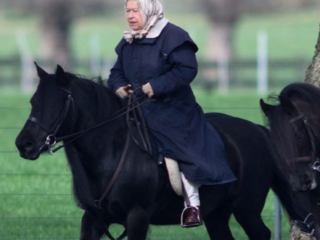 REINA-ISABEL-CABALLO-PANUELO