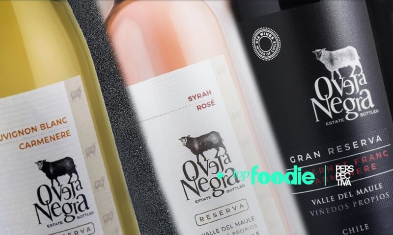 Un mundo de sensaciones: vinos y maridajes ideales