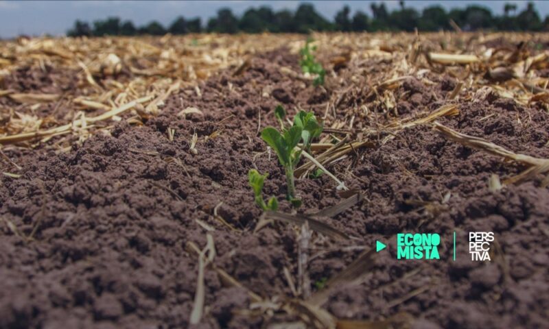 Informe sobre transformación digital destaca oportunidades para agronegocios