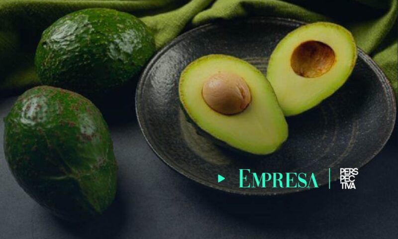 Booth 8: la variedad de aguacate que busca conquistar los mercados internacionales