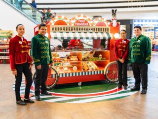 Navidad-Portales-2