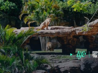 zoo la aurora-min